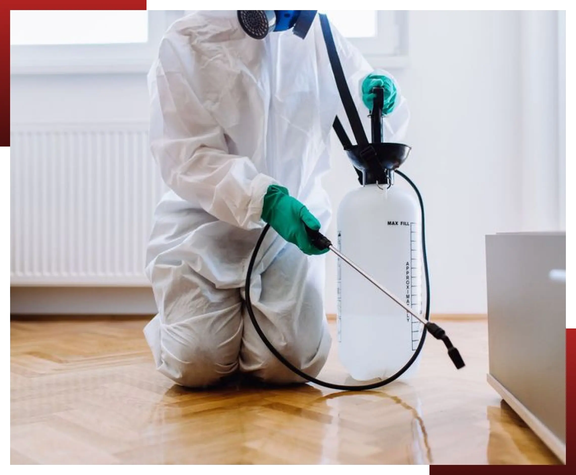 Pest Control Service