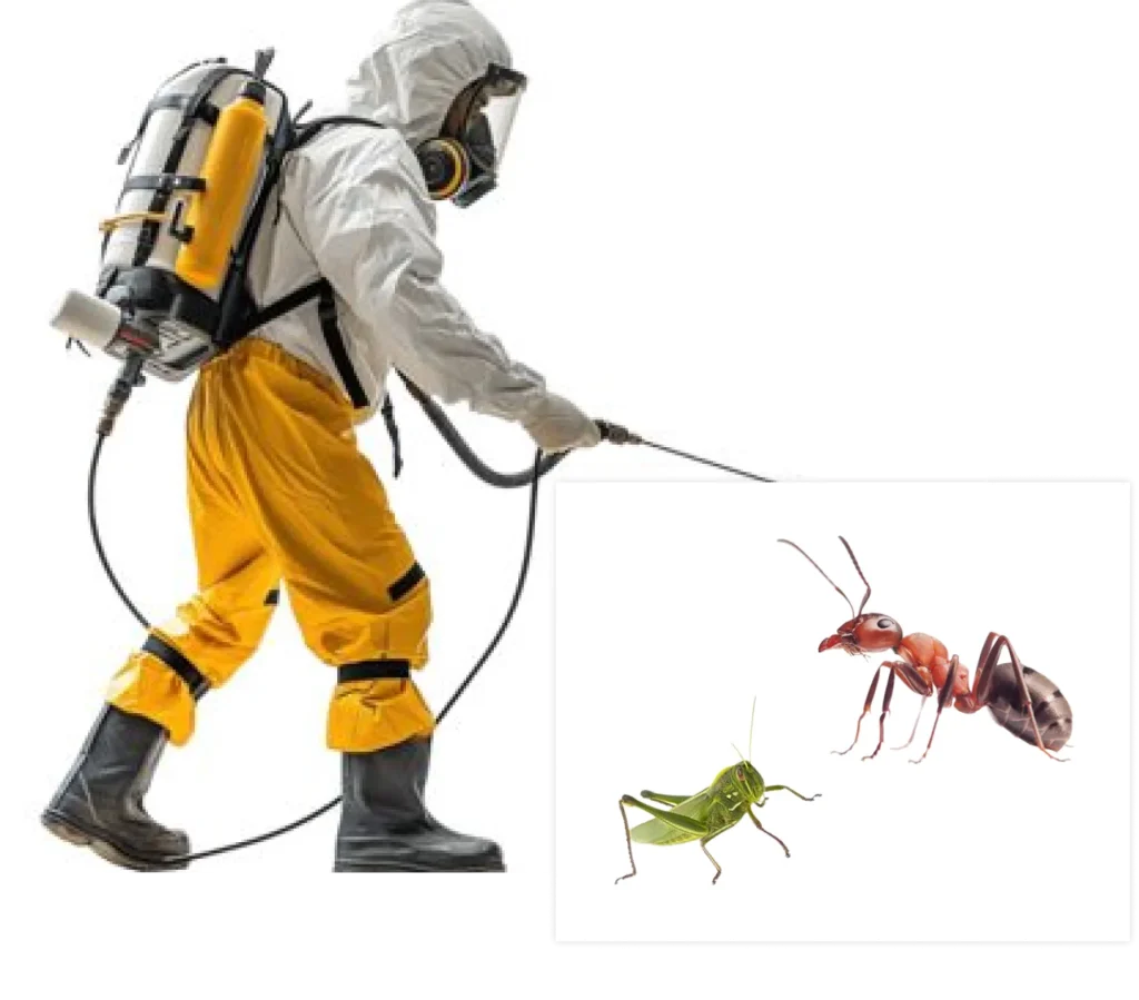 Pest Control Service