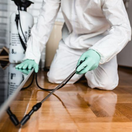 Pest Control Service